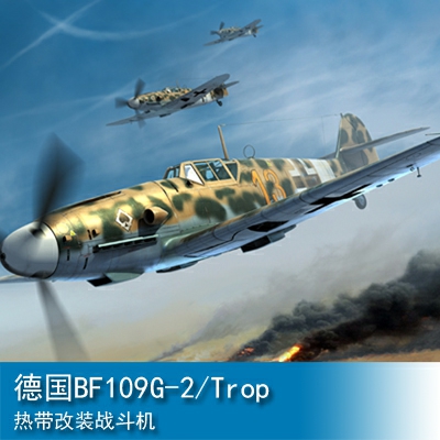 Trumpeter Messerschmitt Bf 109G-2/Trop 1:32 Fighter 02295