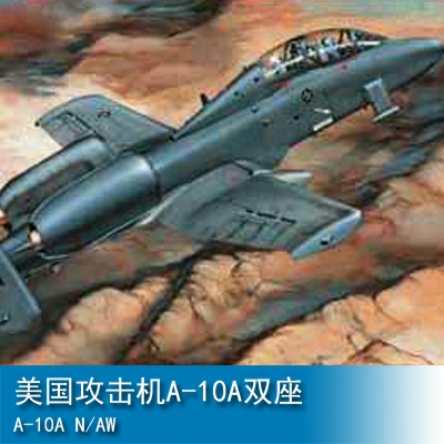 Trumpeter Aircraft- A-10A N/AW 1:32 Fighter 02215