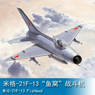 Trumpeter MiG-21F-13 Fishbed 1:48 Fighter 02858