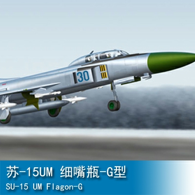Trumpeter SU-15 UM Flagon-G 1:72 Fighter 01625